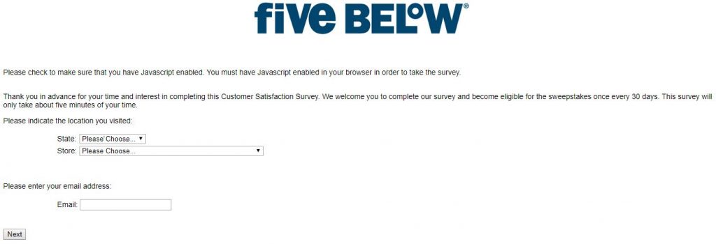 Five Below Survey