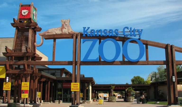 Take Kansas City Zoo Survey To Get Free Validation Code
