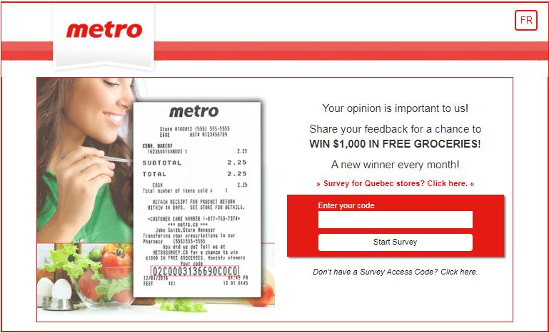 Metro Survey