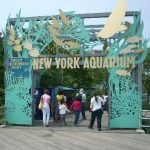New York Zoo & Aquerium Survey