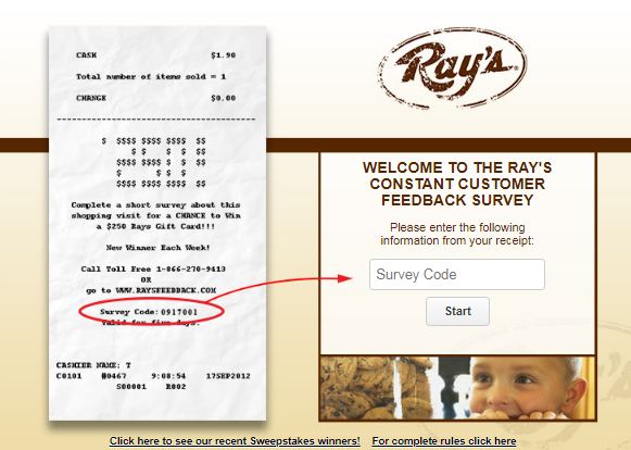 Ray's Food Place Survey